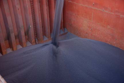 Taconite in cargo hold