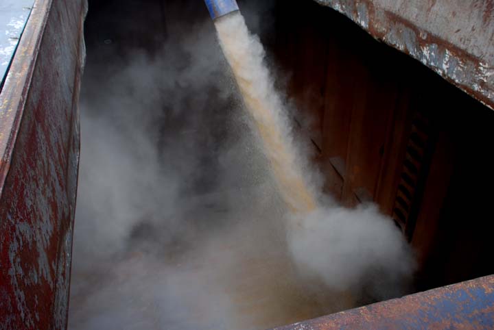 Loading soybeans