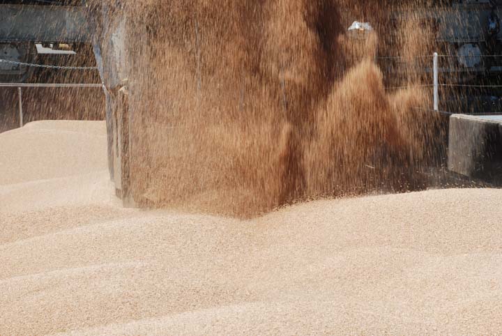 Unloading grain