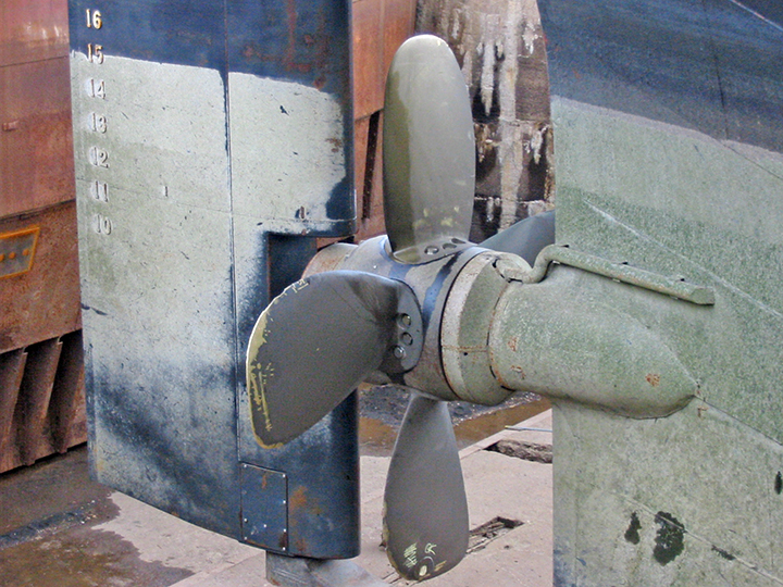 Rudder and propeller