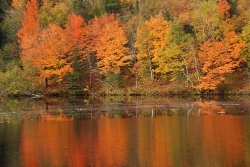 Fall colors
