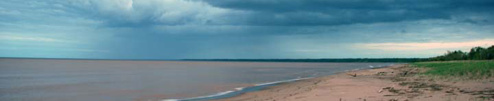 Banner image: South shore