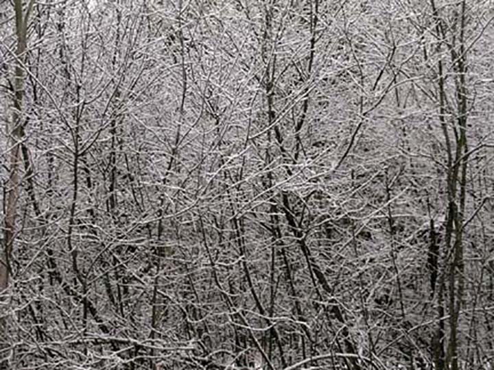 Snowfall