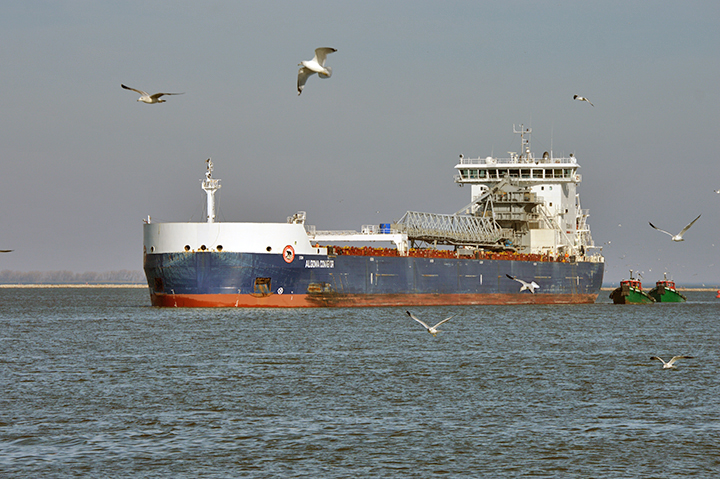 Algoma Conveyor