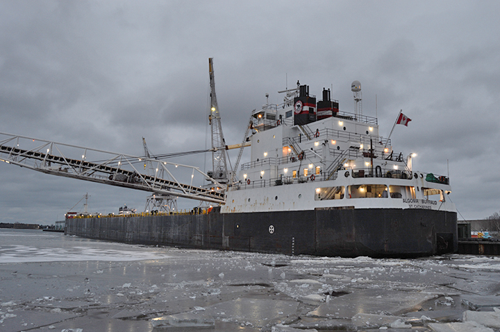 Algoma Buffalo