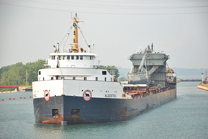 Algosteel