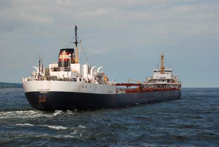 Algocape