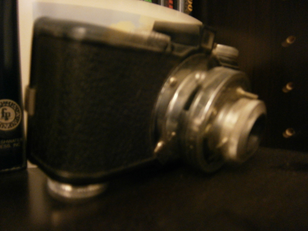 my mother and grandfather captured much of their lives with this camera