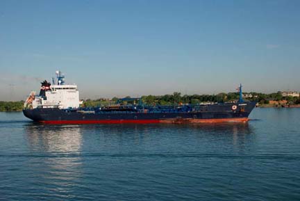 Algosea