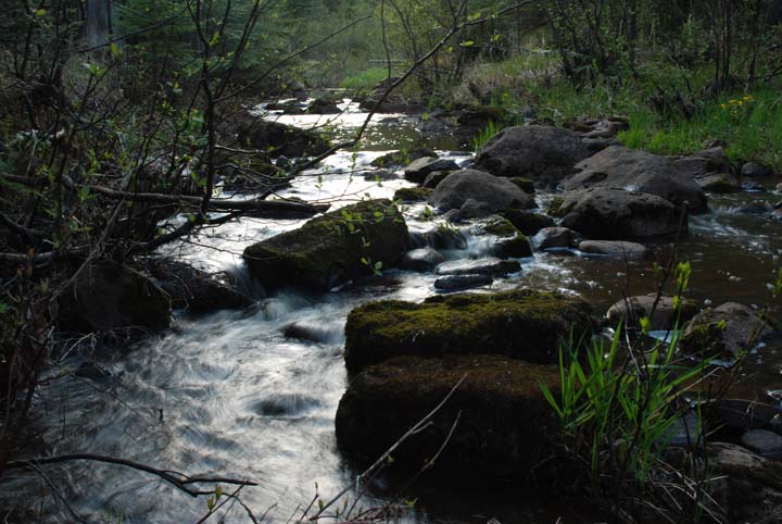 Crow Creek