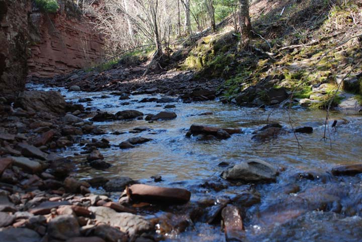 Cut Face Creek