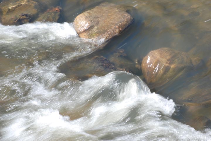 Bassett Creek