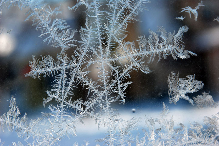 Window frost