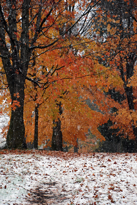First snow