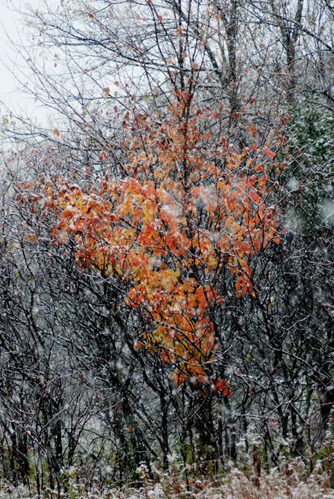 October snow