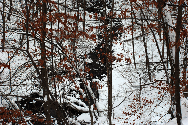 Shadow Falls