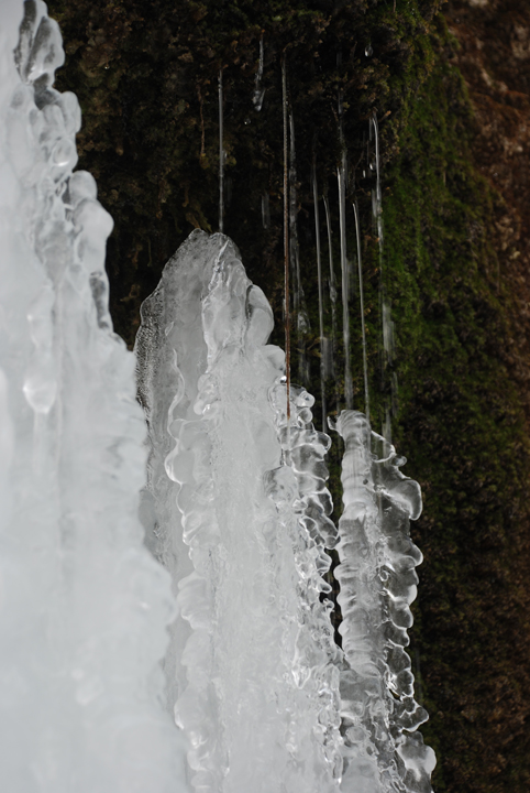 Shadow Falls