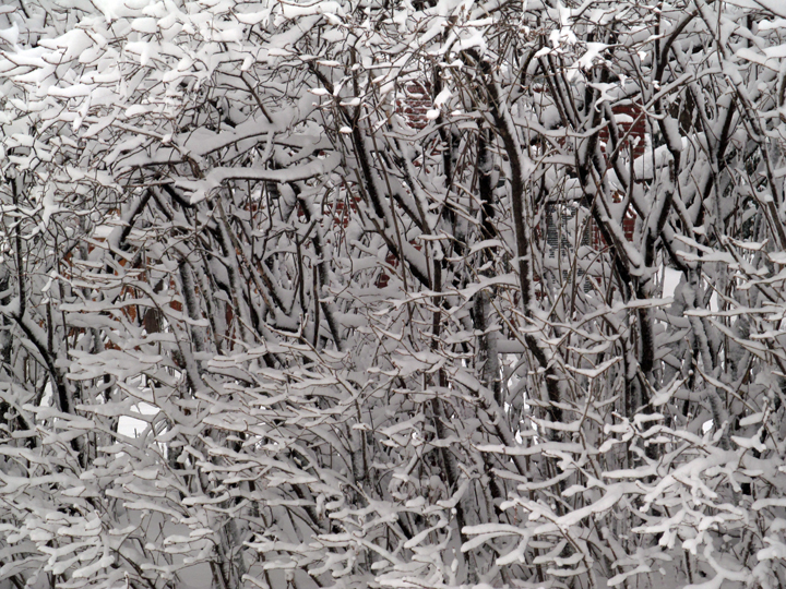 snowstorm