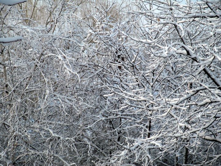 snowstorm