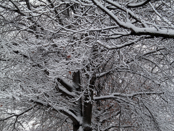 snowstorm
