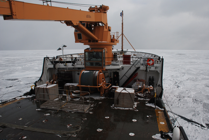 <em>Alder</em> on Lake Superior