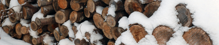 Banner image: wood pile