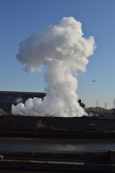 Steam cloud