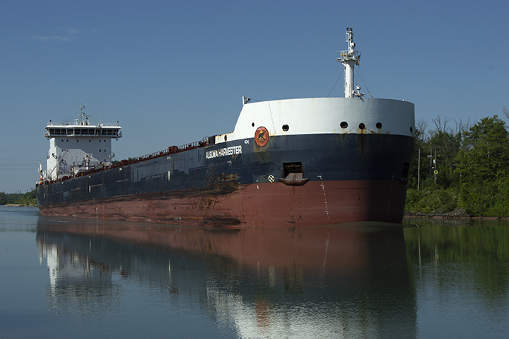 Algoma Harvester
