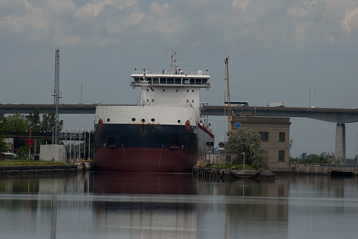 Algoma Harvester