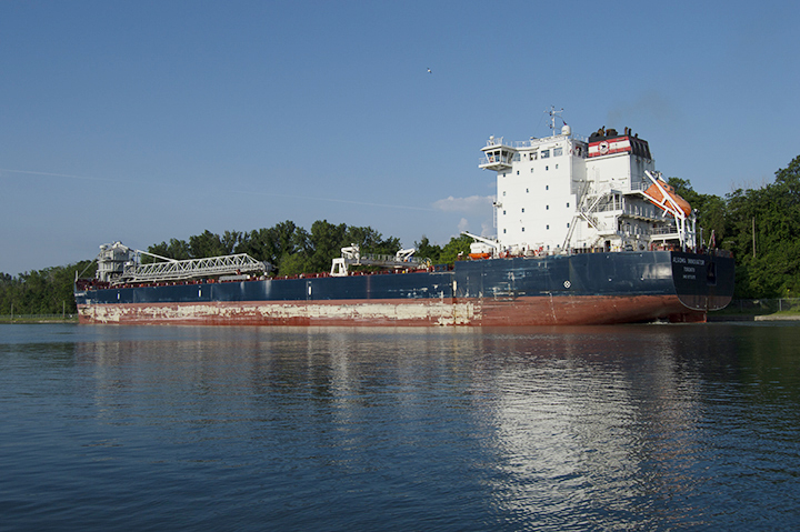 Algoma Innovator