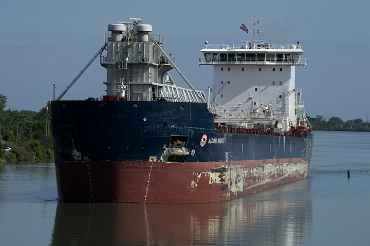 Algoma Innovator