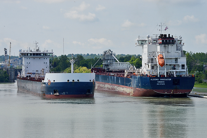 Algoma Innovator