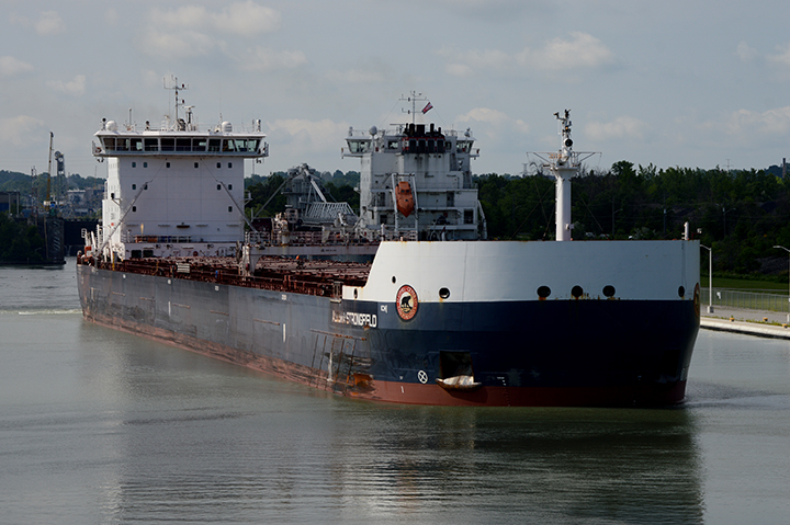 Algoma Strongfield