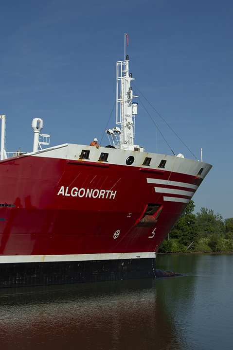 Algonorth