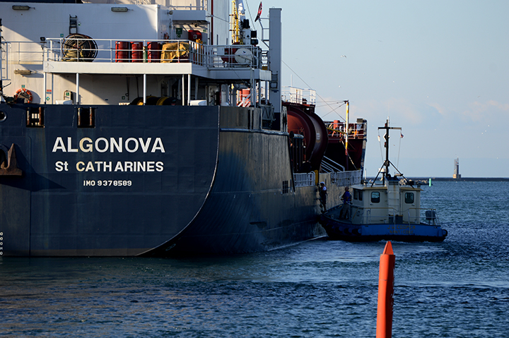 Algonova