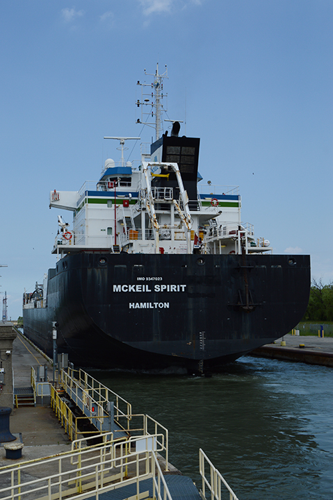 McKeil Spirit