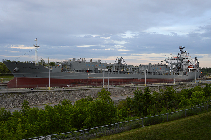 NACC Argonaut