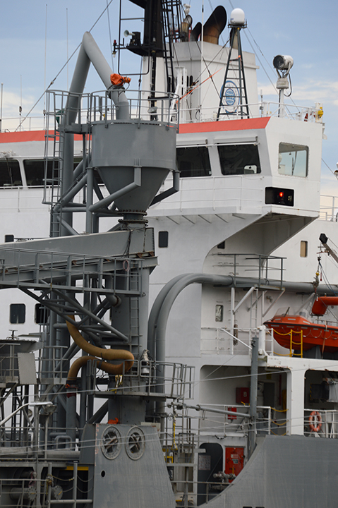 NACC Argonaut