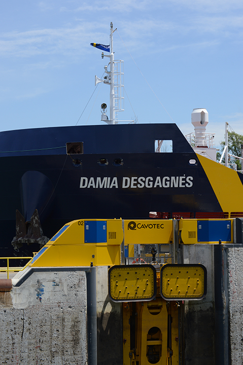 Damia Desgagnes