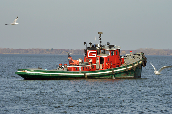 tug Texas