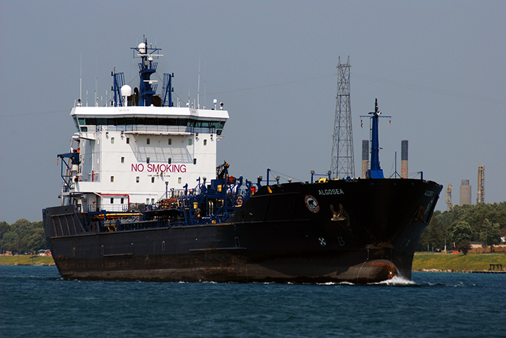 Algosea