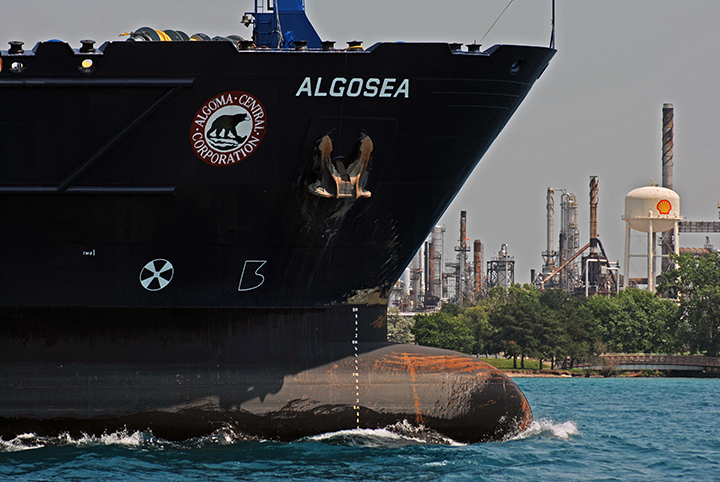 Algosea