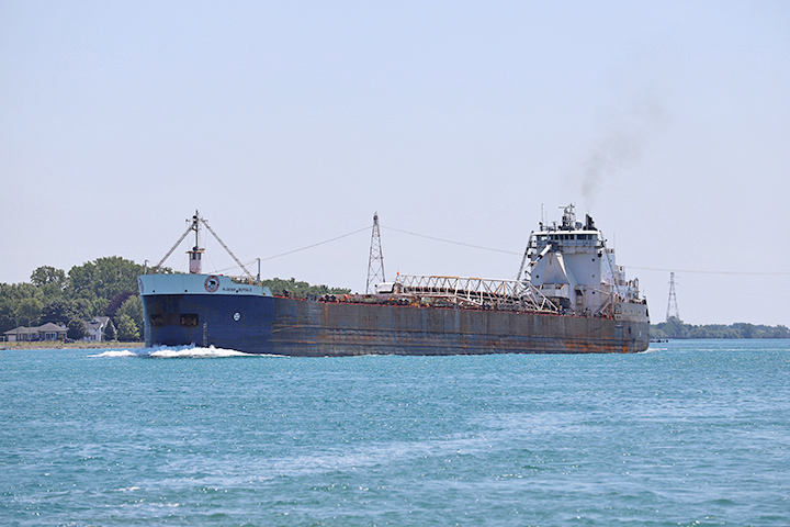Algoma Buffalo
