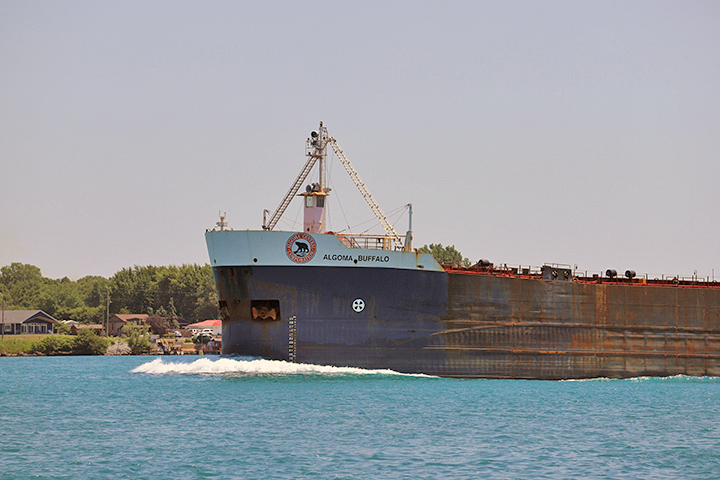 Algoma Buffalo