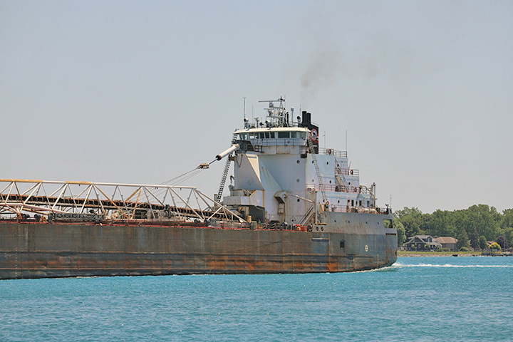 Algoma Buffalo