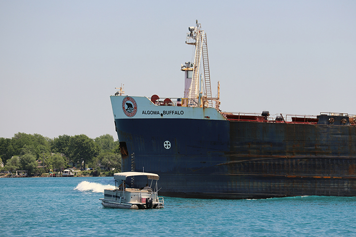 Algoma Buffalo