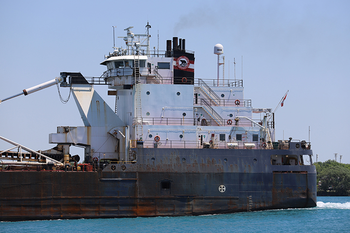 Algoma Buffalo