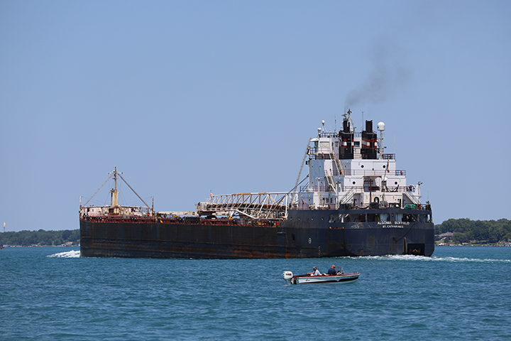 Algoma Buffalo