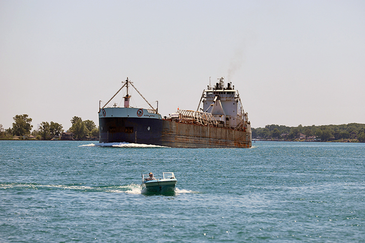 Algoma Buffalo