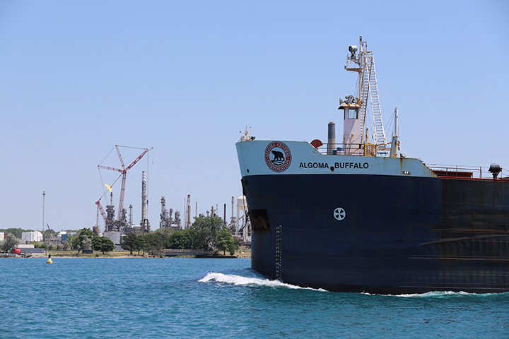 Algoma Buffalo